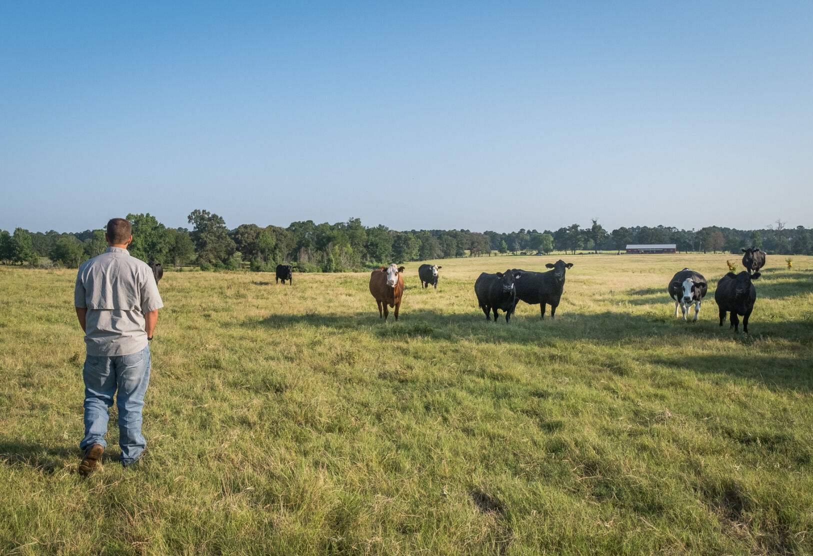 Yates Family Farms